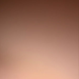 Meet your Posher, Gabrielle